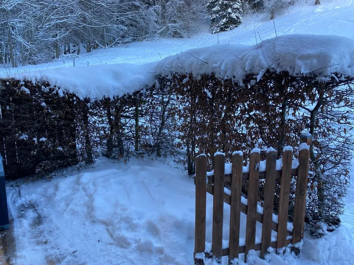 Appartement 2 Pieces Pieds Des Pistes Terrasse Face A La Montagne بيرنيكس شقة