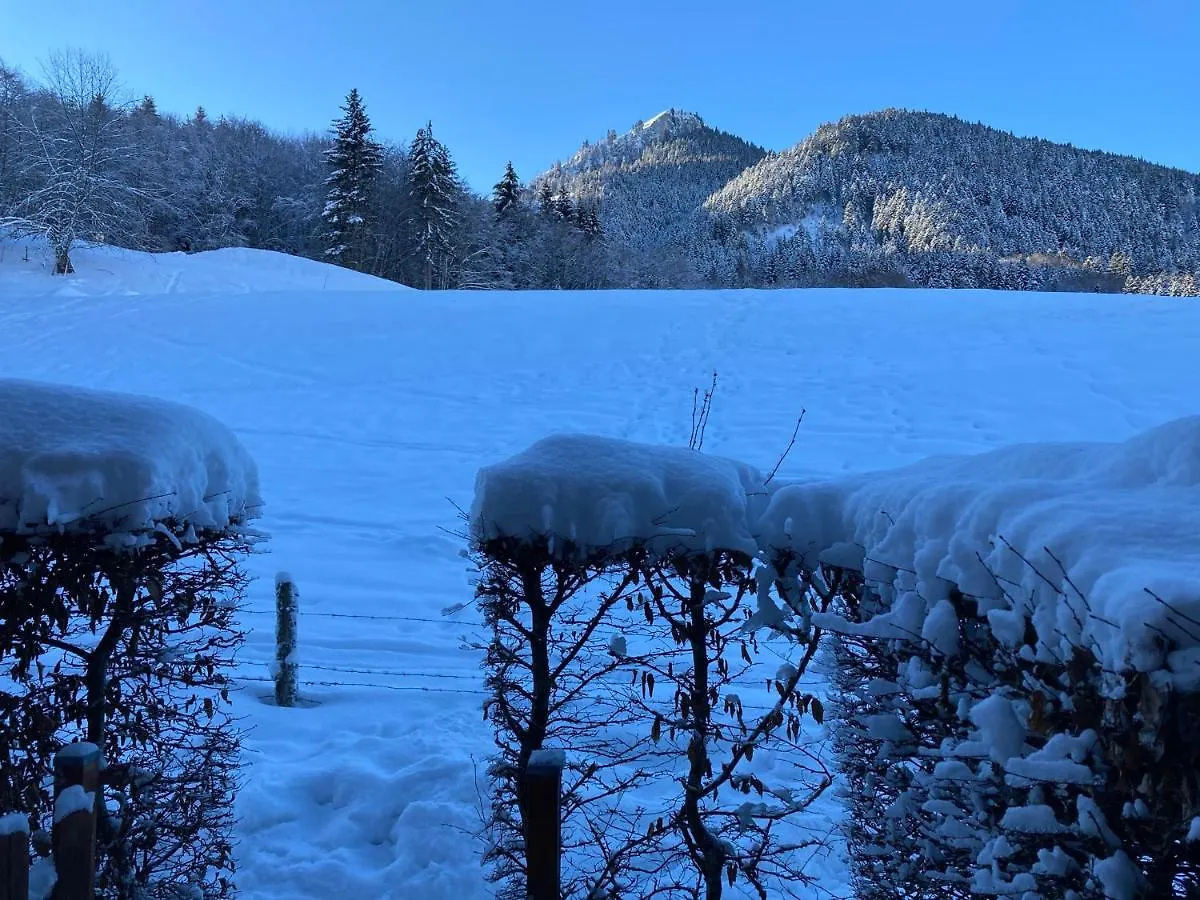 Appartement 2 Pieces Pieds Des Pistes Terrasse Face A La Montagne بيرنيكس